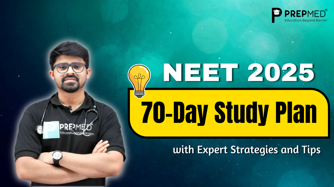 NEET 2025 study plan