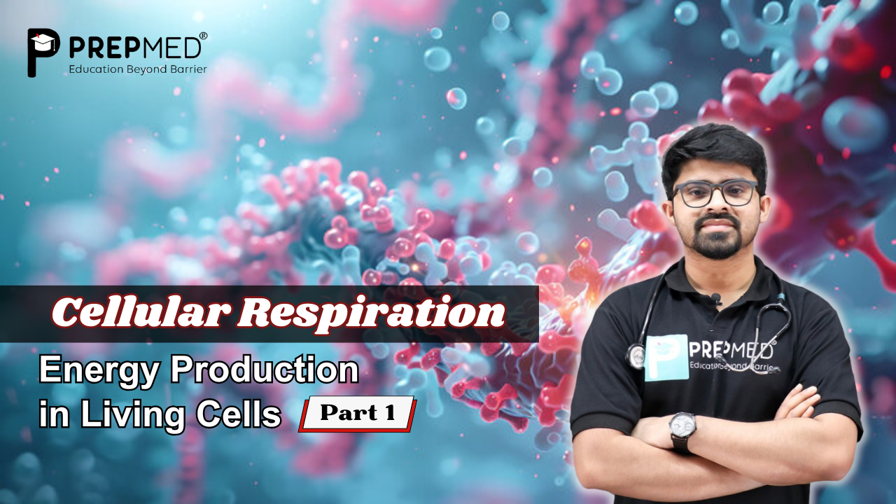 Cellular Respiration