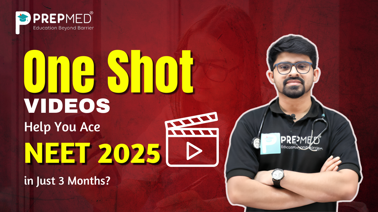 One-Shot Videos