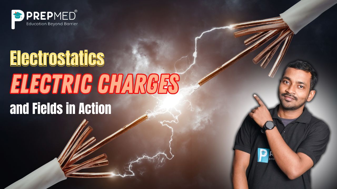 Electric Charges