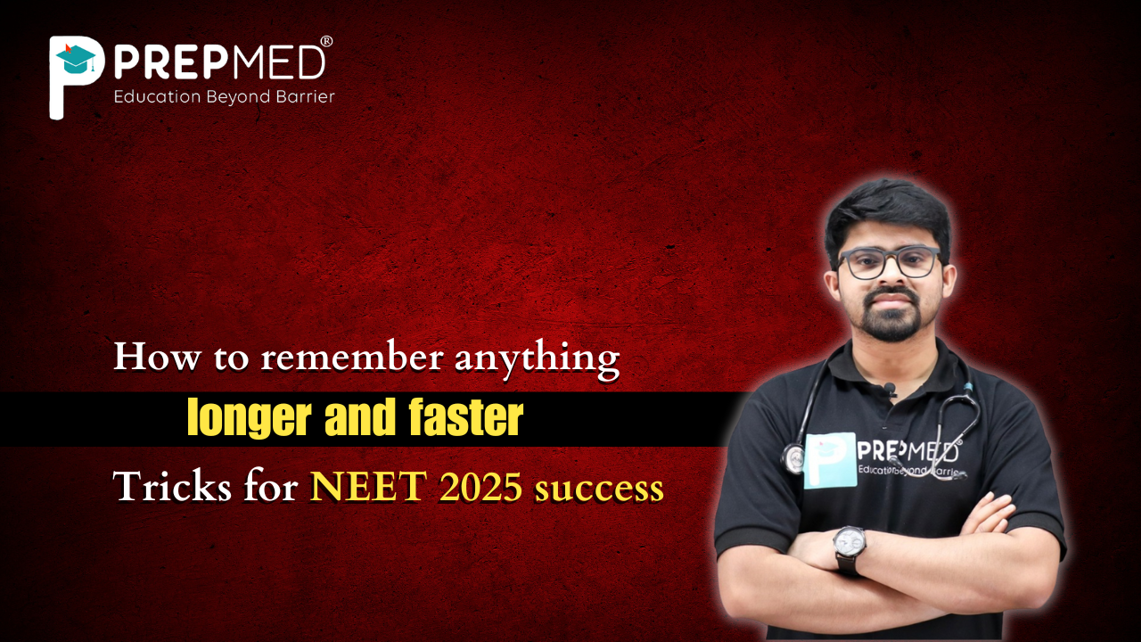 NEET 2025 success
